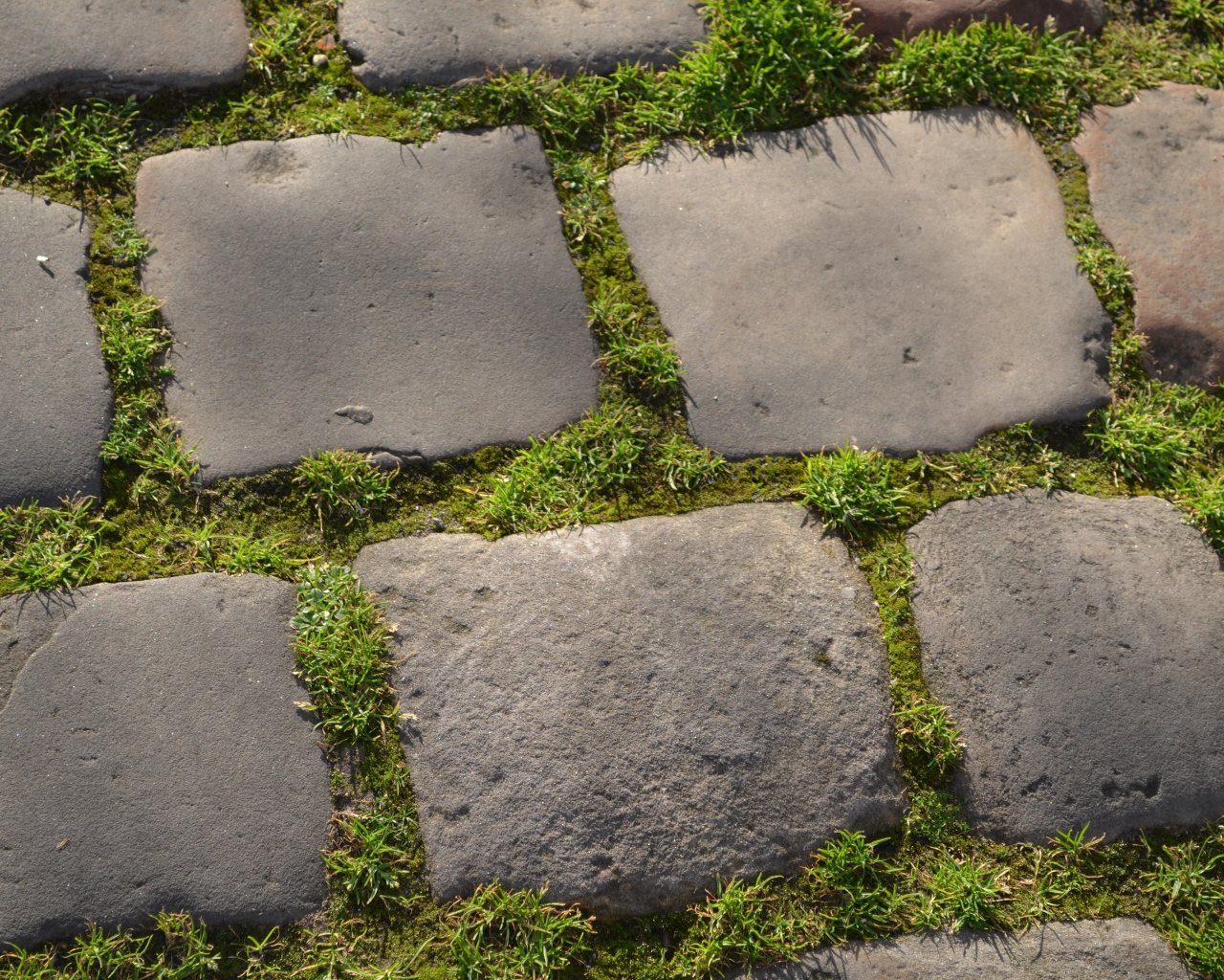 Зеленая трава между блоков брусчатки