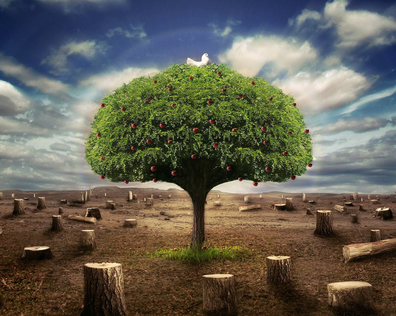 Живое дерево среди пеньков