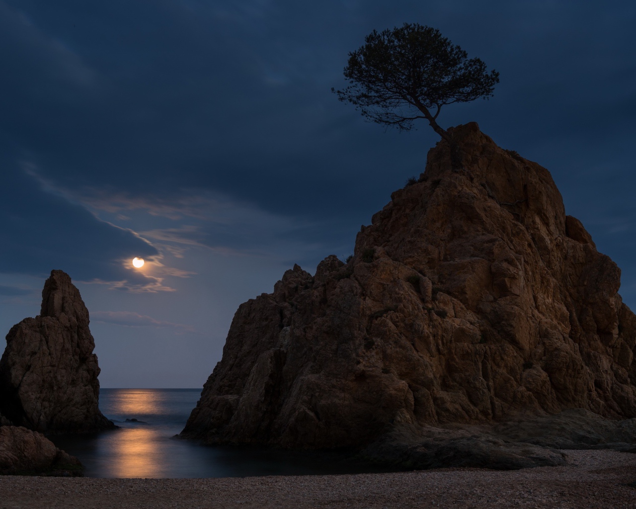 Одинокое дерево на голой скале