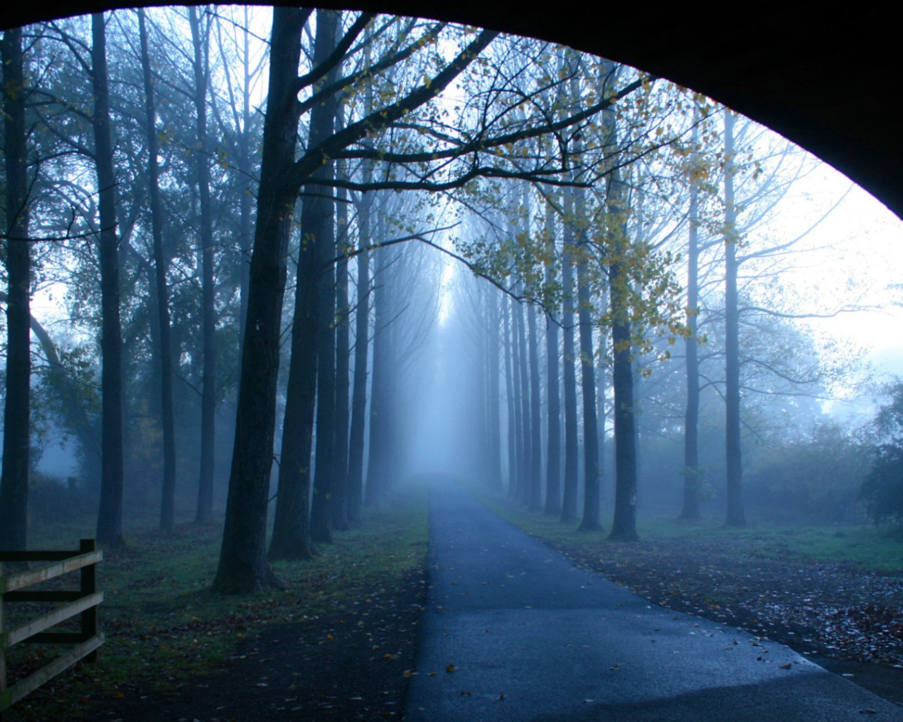 Туманная аллея у моста