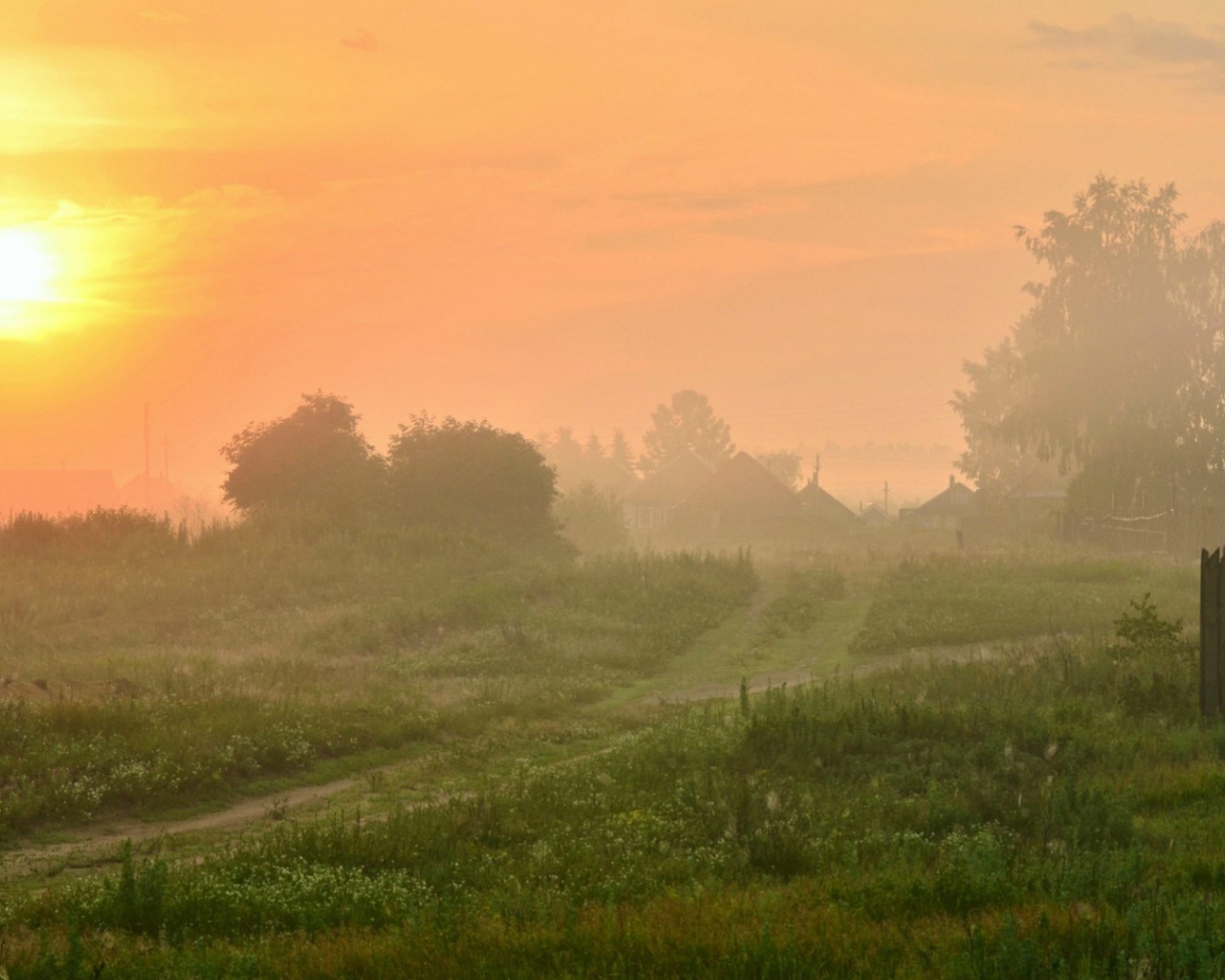 Туманный рассвет в деревне