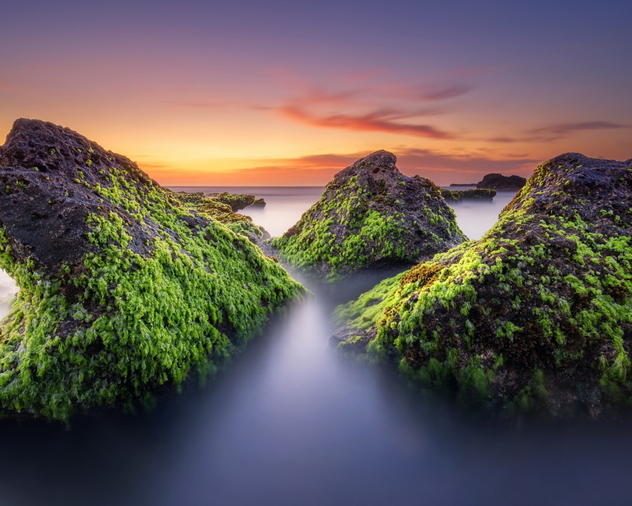 Поросшие мхом скалы в тумане