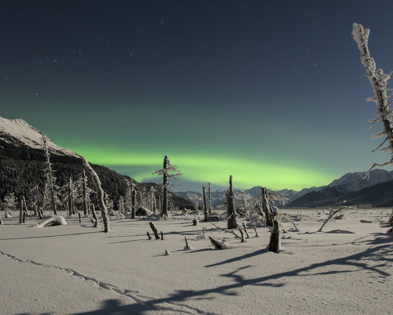 Северное сияние над снежной пустыней