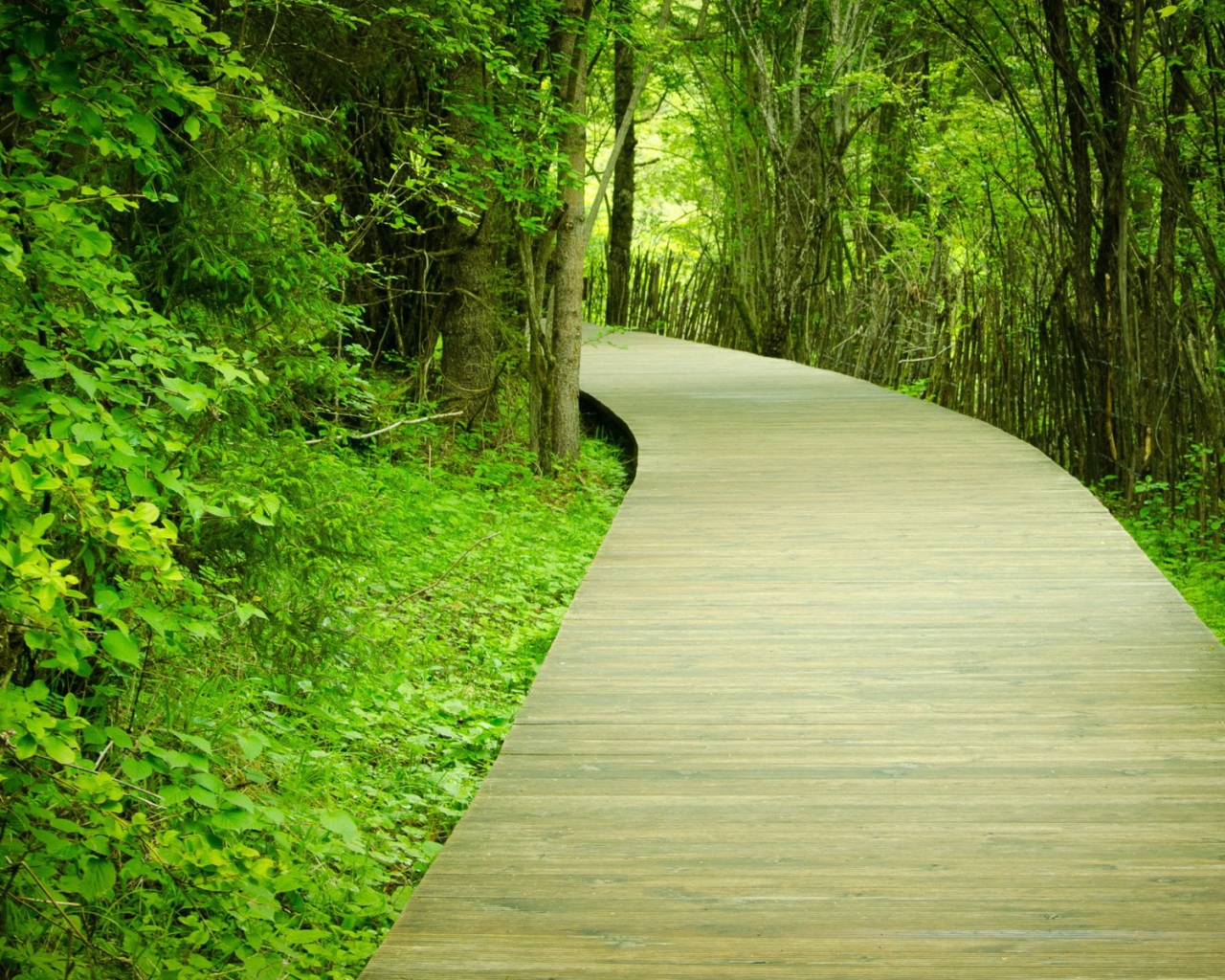 Паркетная тропинка в саду