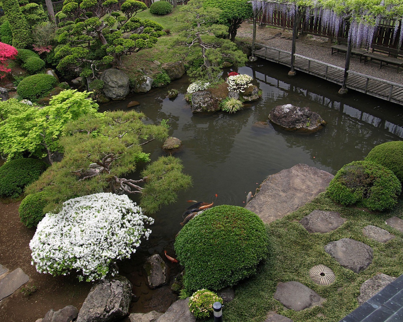 Пруд с растениями в саду