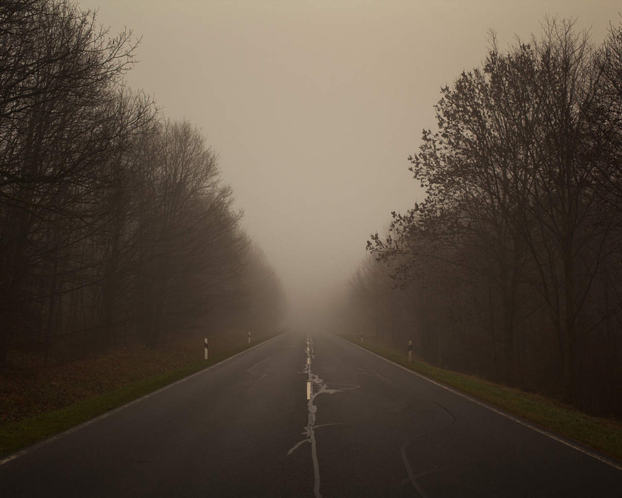 Плохая видимость на дороге