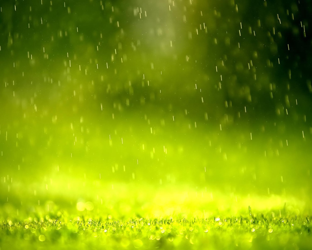 Дождь в зеленой дымке