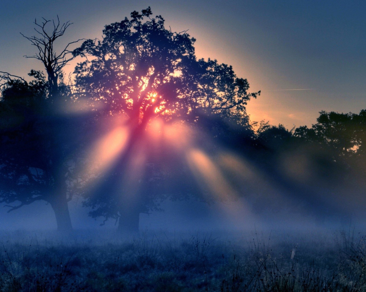 Красные лучи солнца в тумане