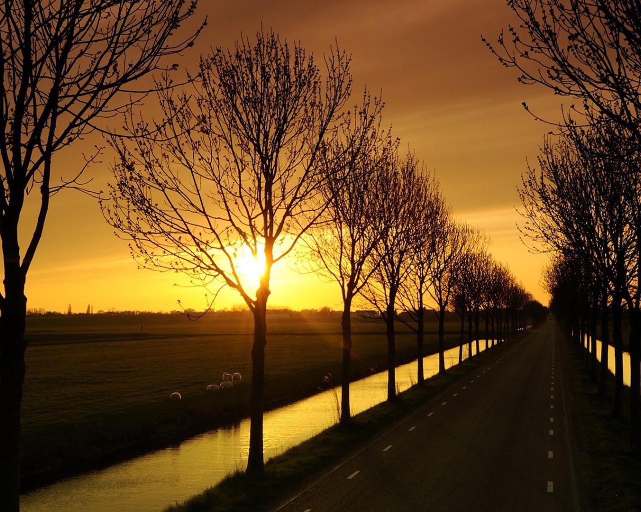 Дорога с каналами по краям