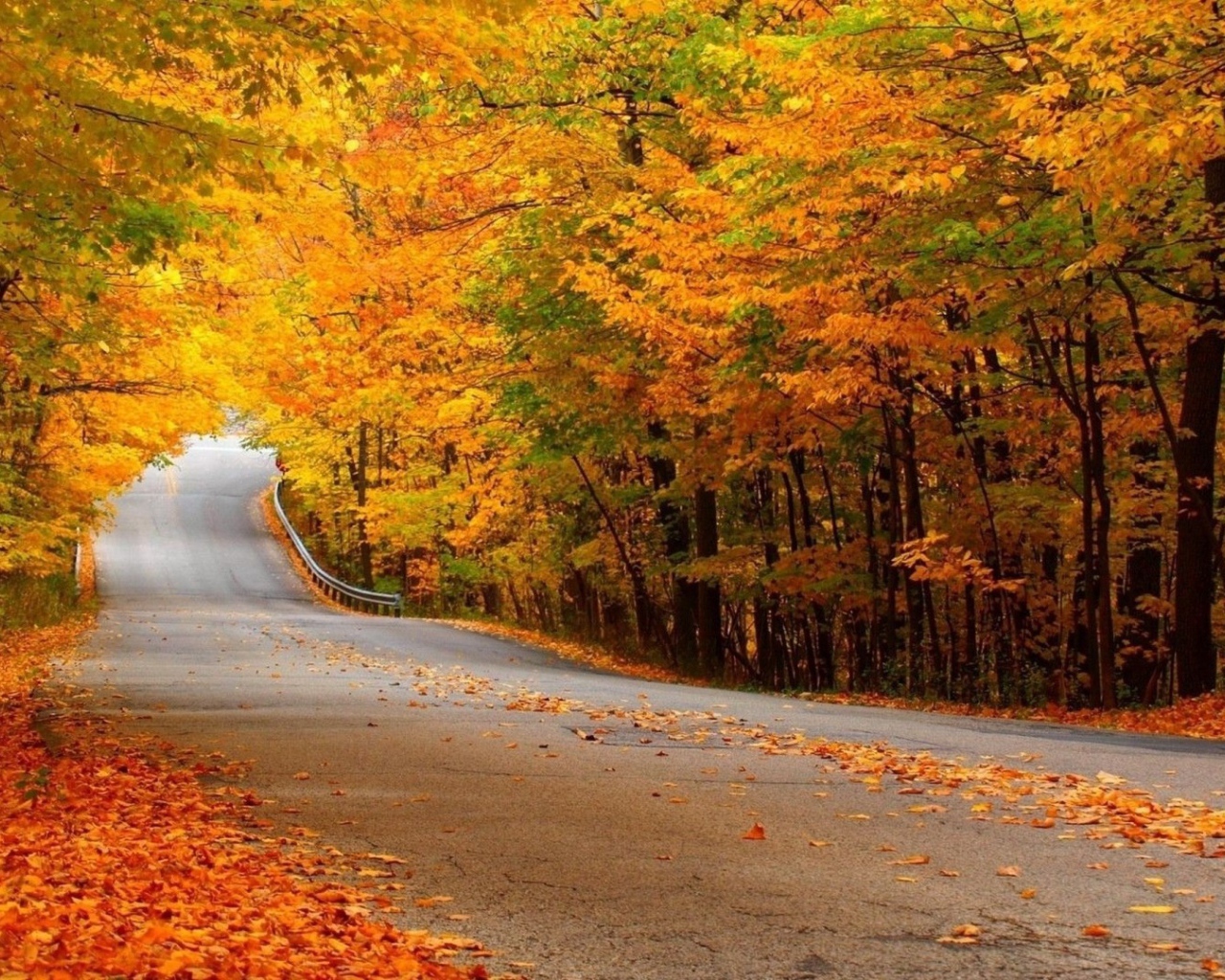 Автомобильная дорога в осеннем лесу