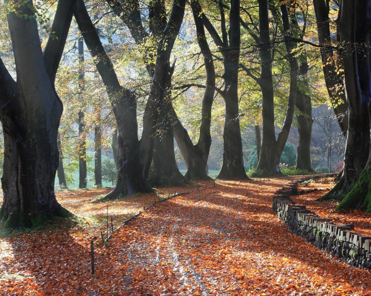 Поворот аллейки, усыпанной листьями
