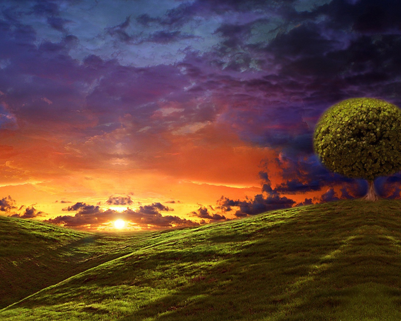 Круглые кроны деревьев на вершинах холмов