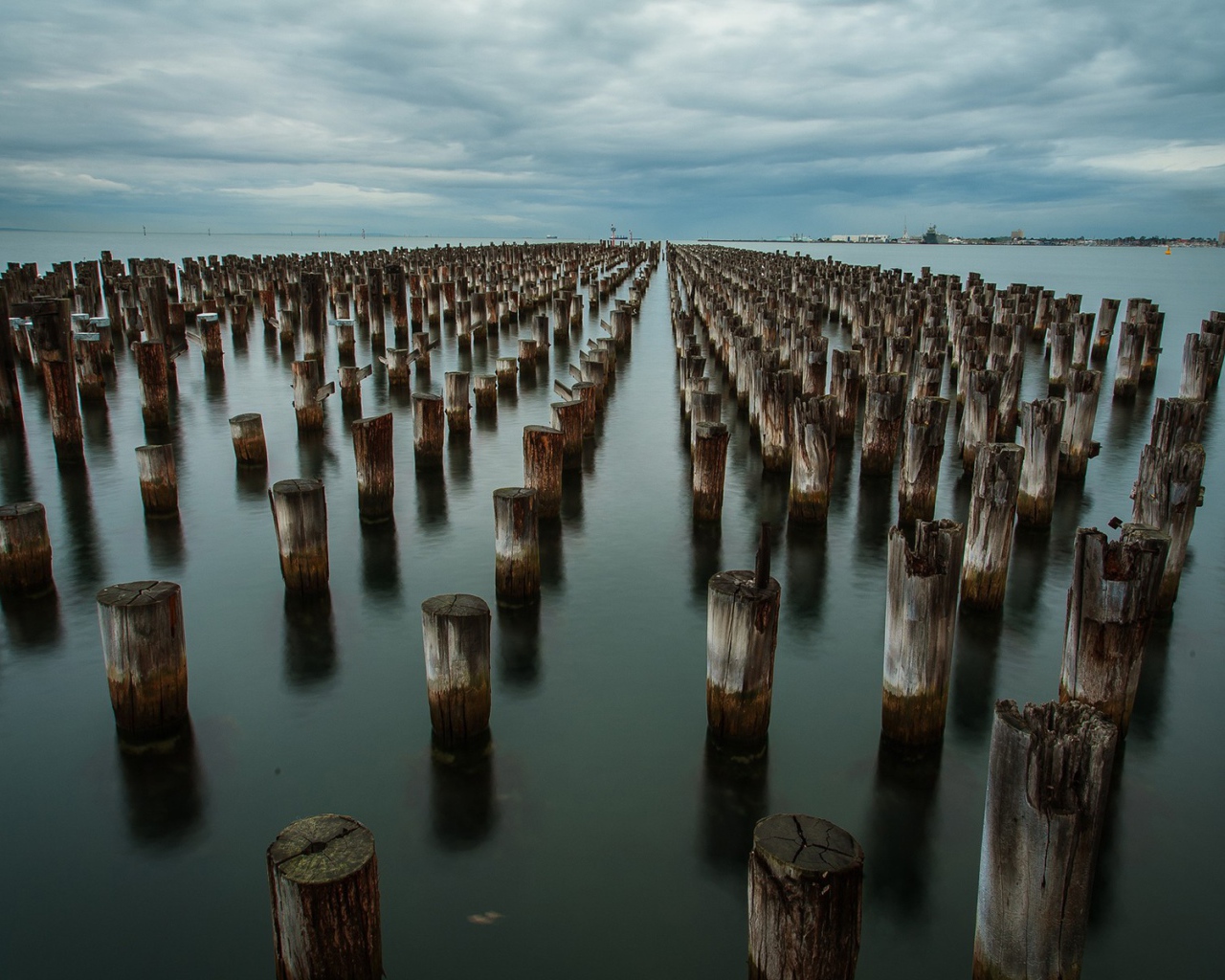 Ряды деревянных свай в воде