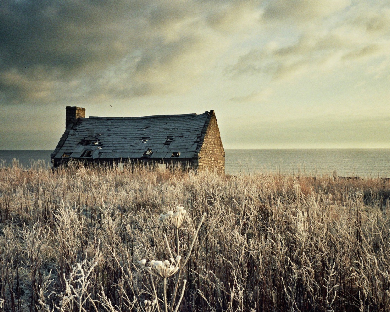 Разрушенный дом на засохшем поле