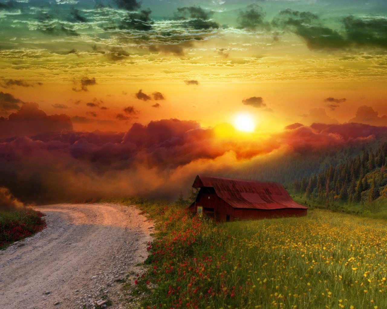 Сарай на обочине проселочной дороги