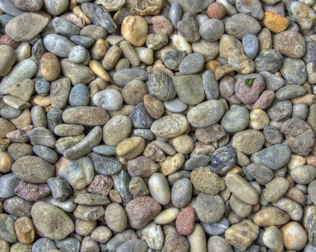 Гладкие камешки на берегу моря