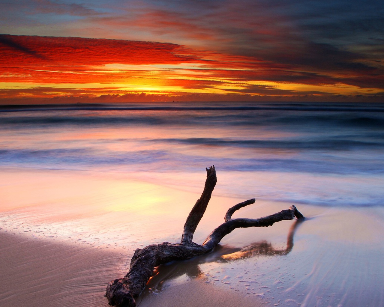 Коряга на белом песке пляжа на закате