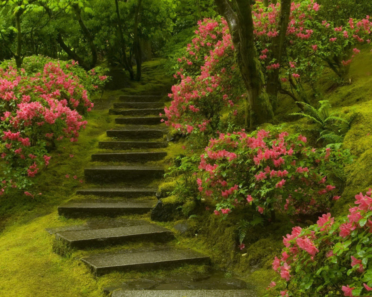 Каменная лестница в цветущем саду