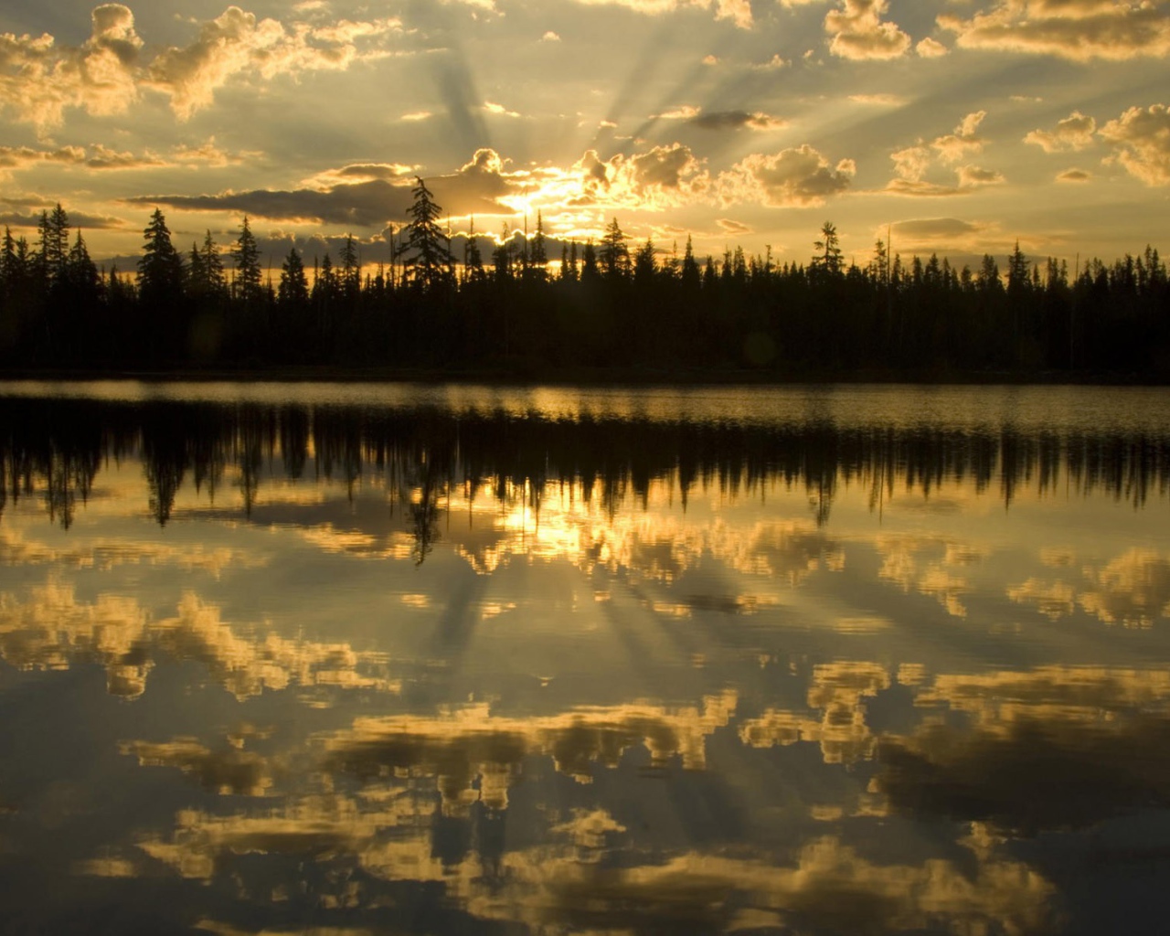 Освещенные лучами солнца облака отражаются в воде