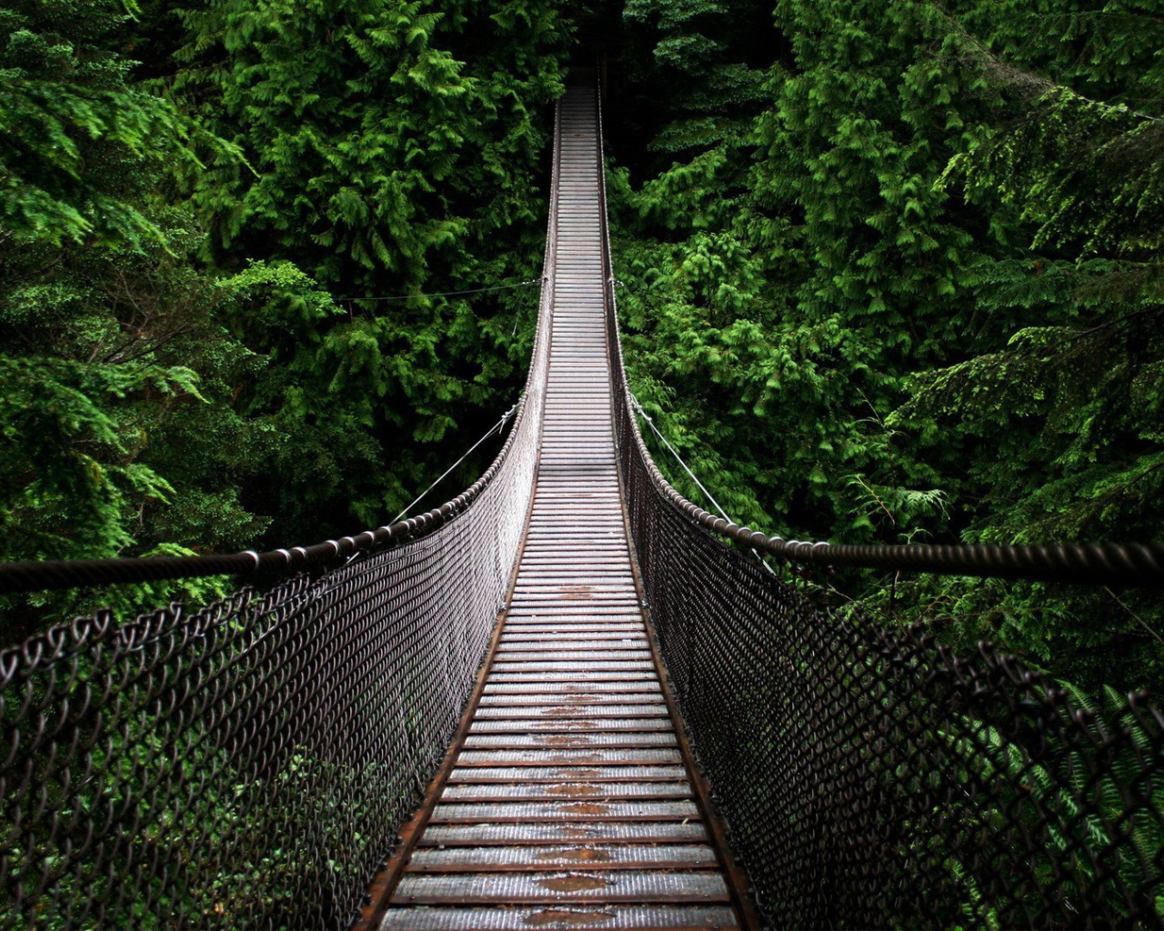 Подвесной мост на канатах