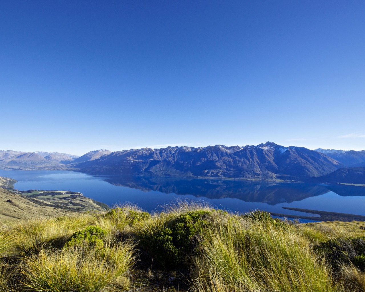 Суровая дикая природа