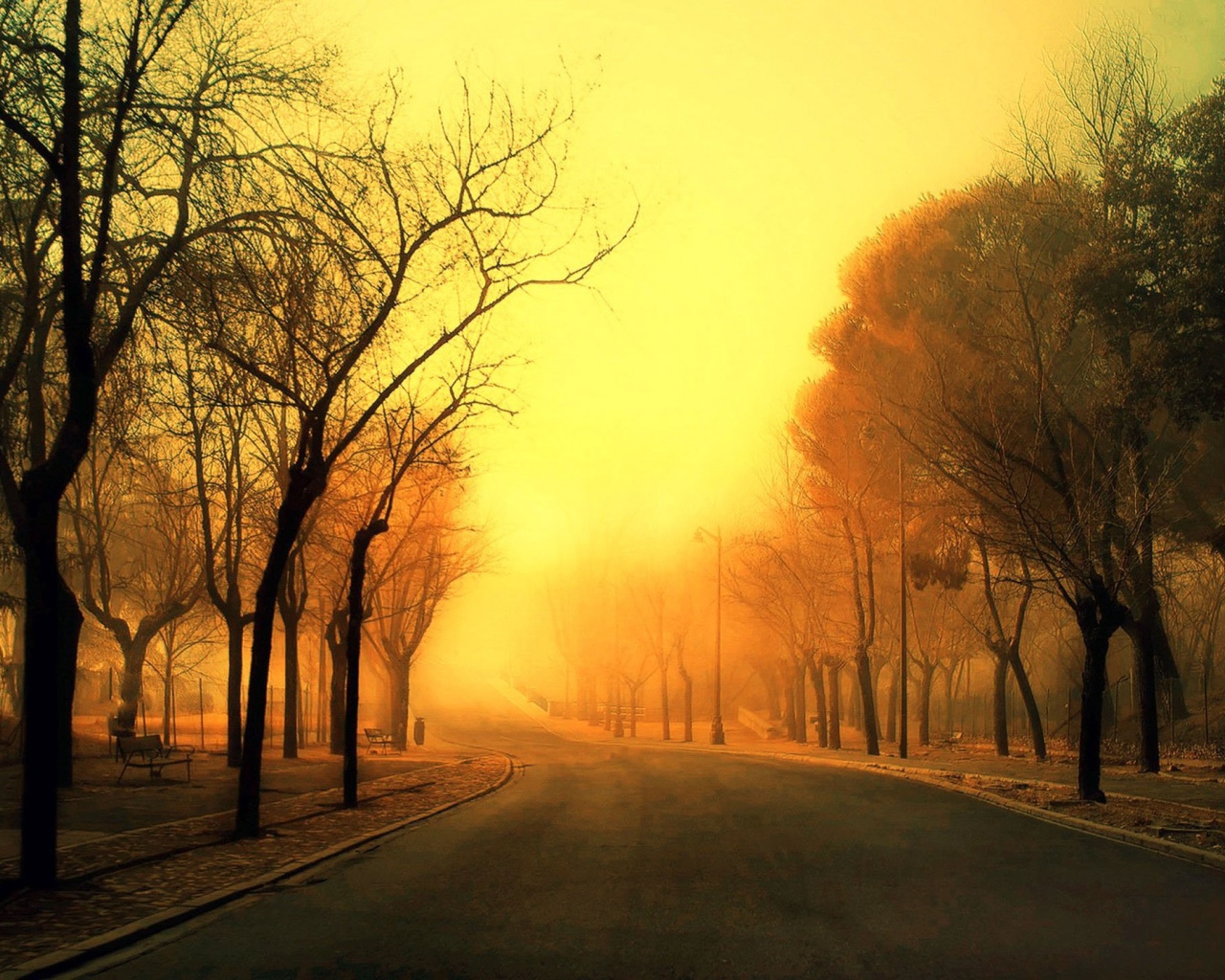 Дорога уходит в оранжевую дымку