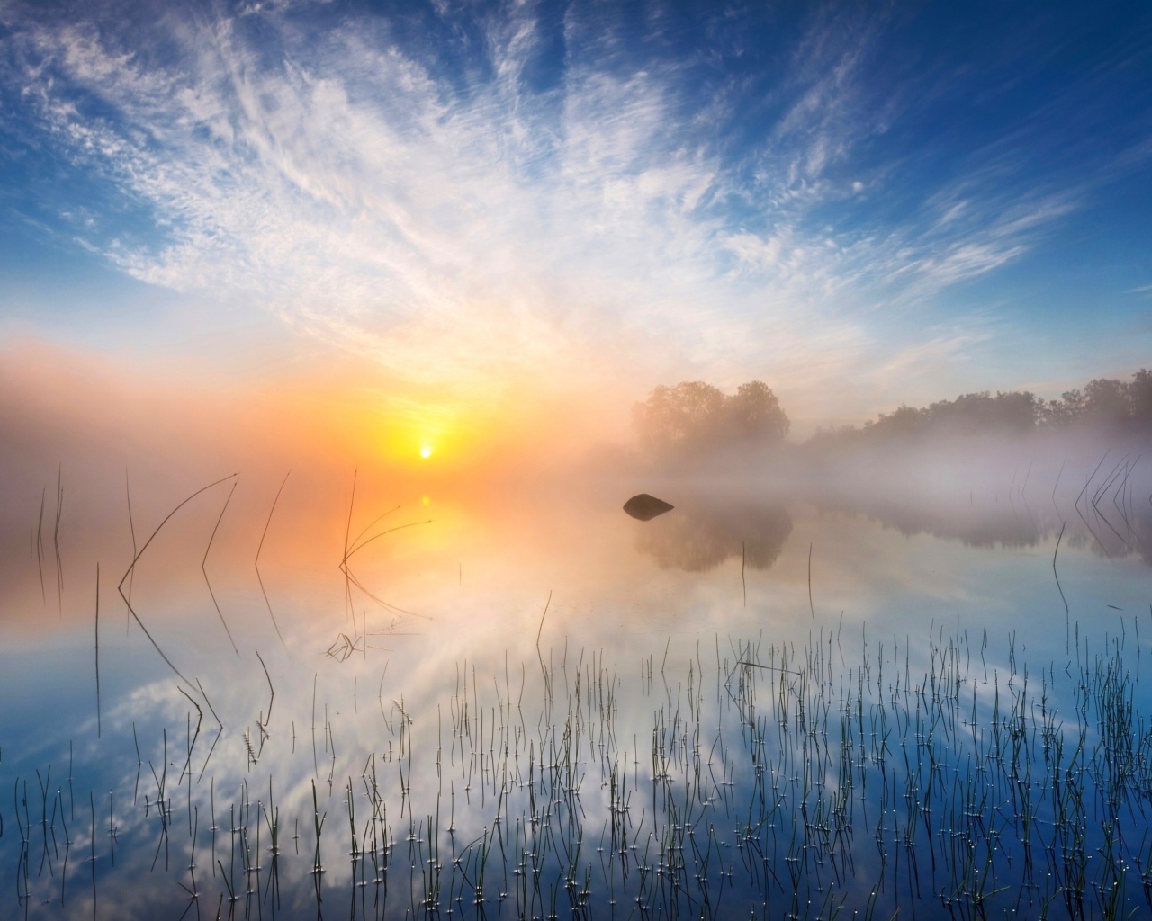 Желтое солнце в утреннем тумане
