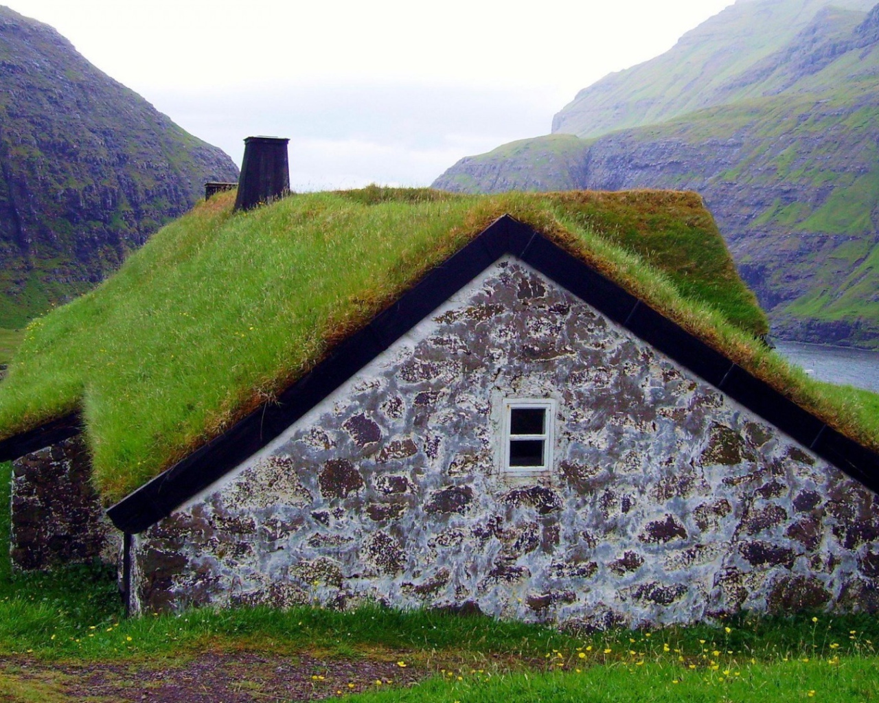 Густая трава на крыше сарая