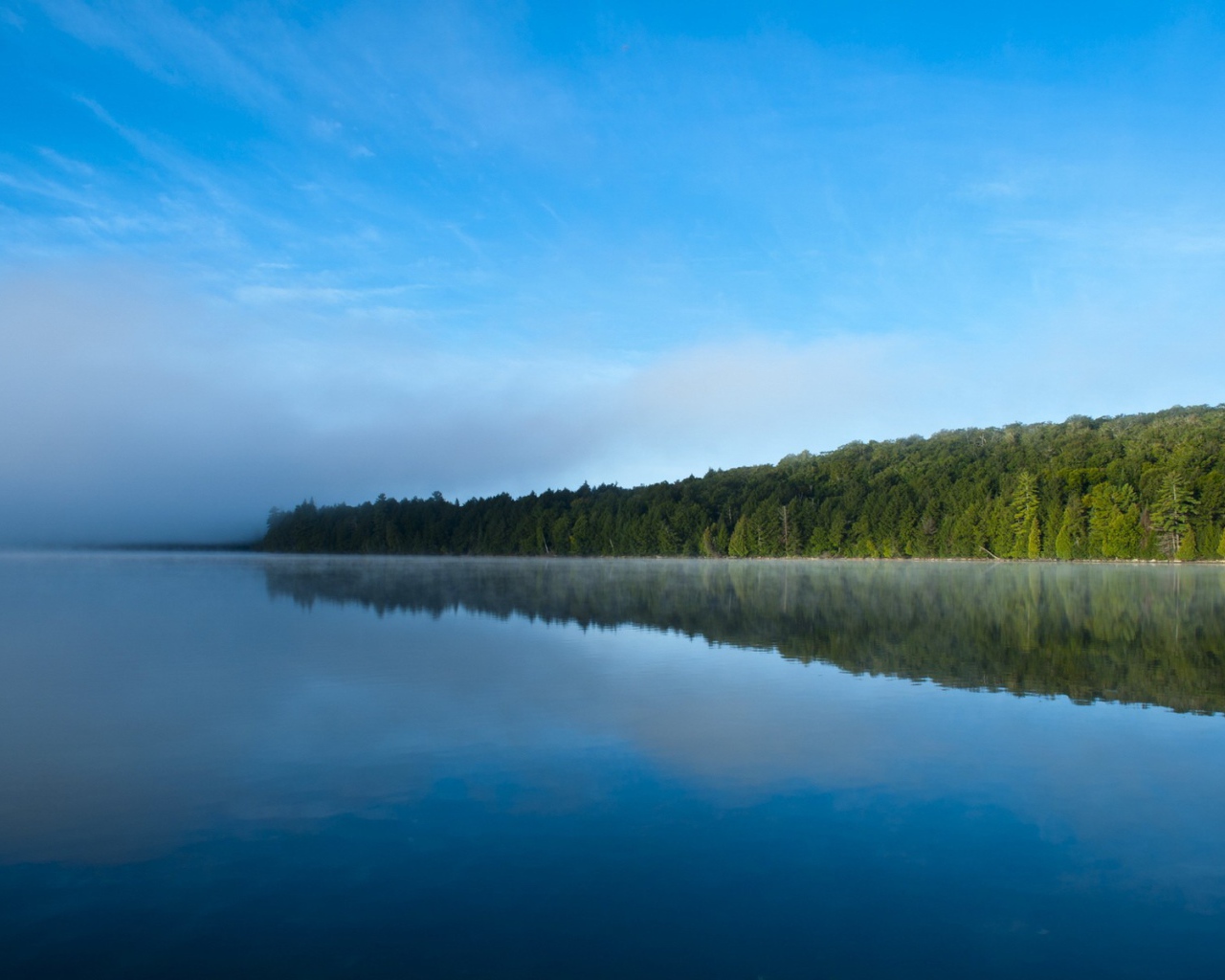 Густой зеленый лес подходит к самой кромке воды