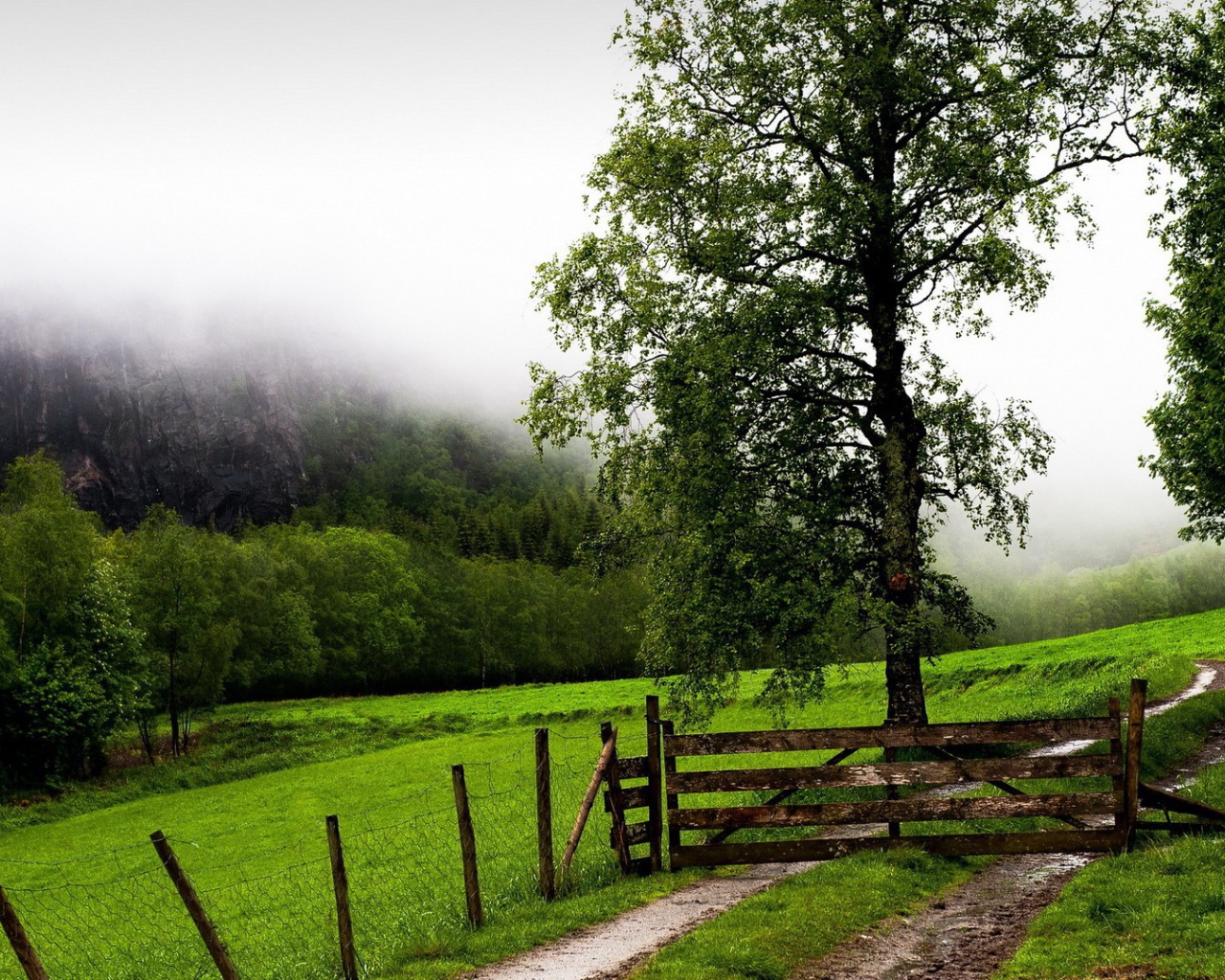 Деревянная преграда на тропе