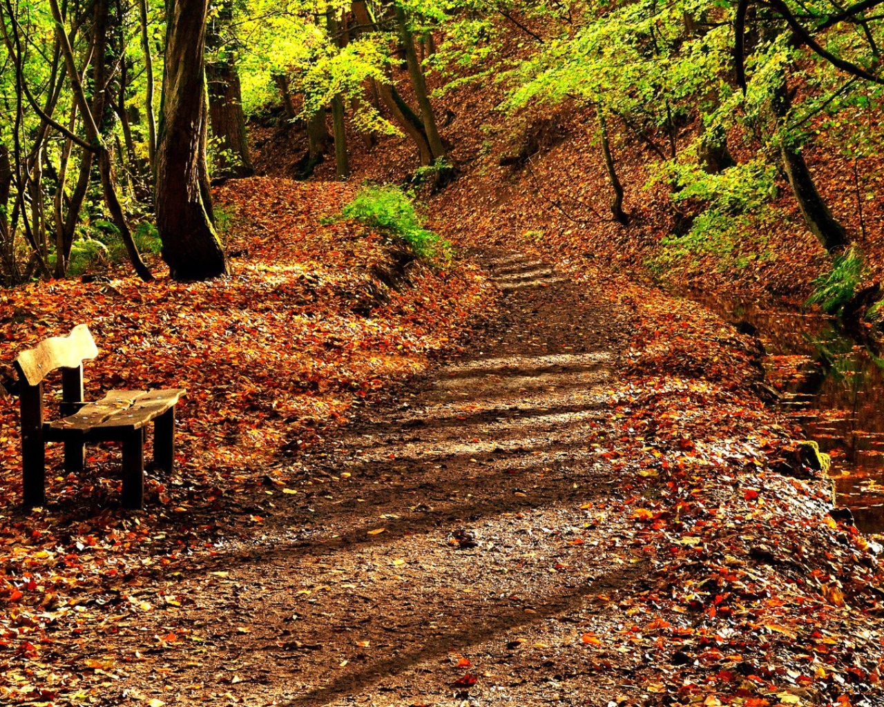 Деревянная скамья на усыпанной листьями аллее