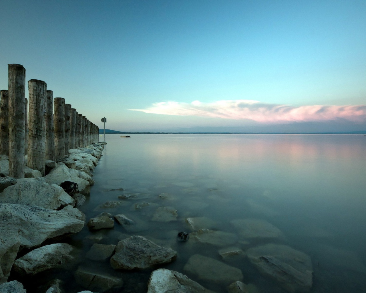 Деревянные сваи от пирса