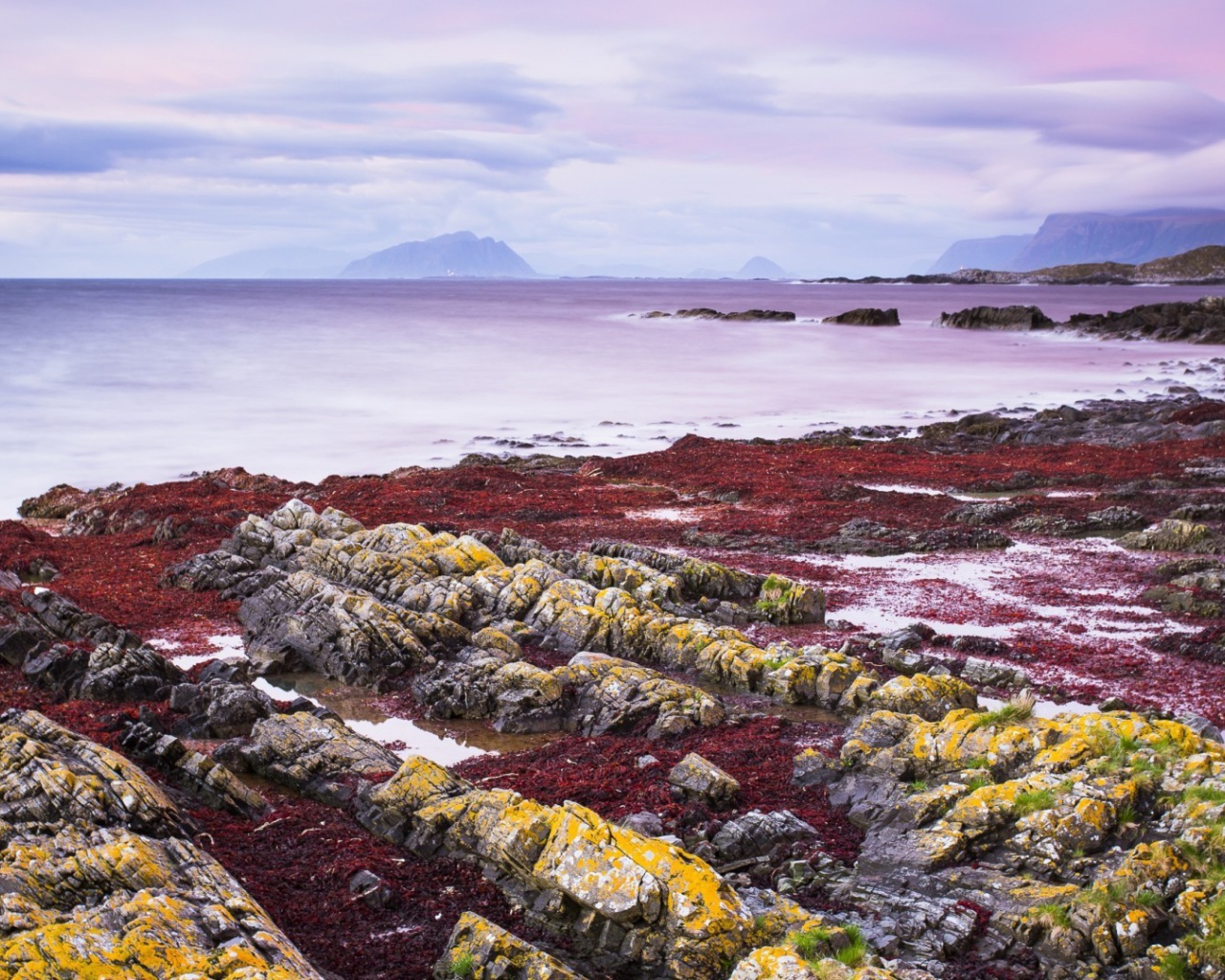 Желтые камни на берегу моря