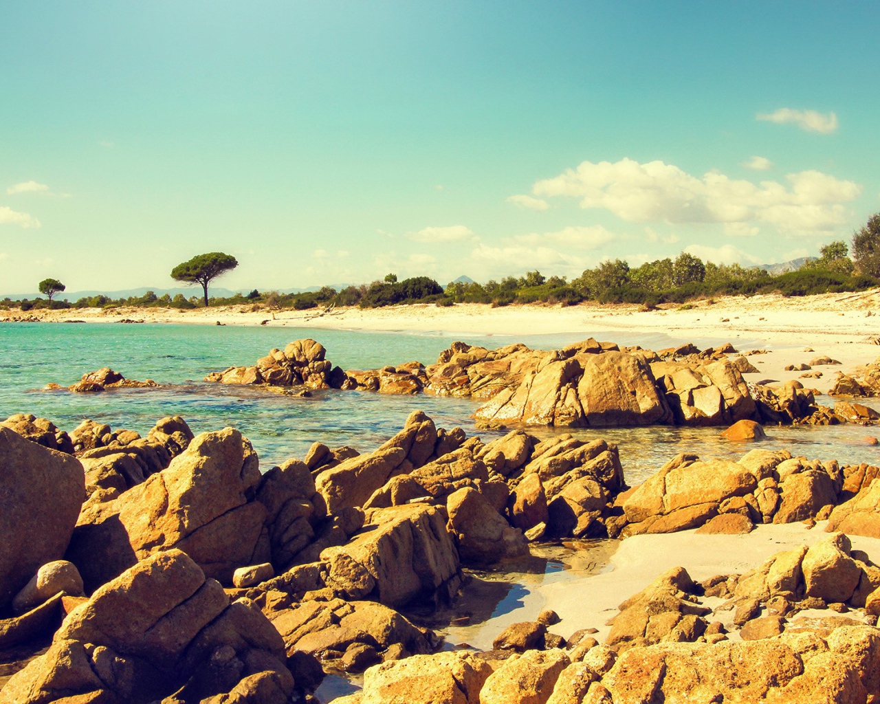 Коричневые камни и скалы на берегу моря