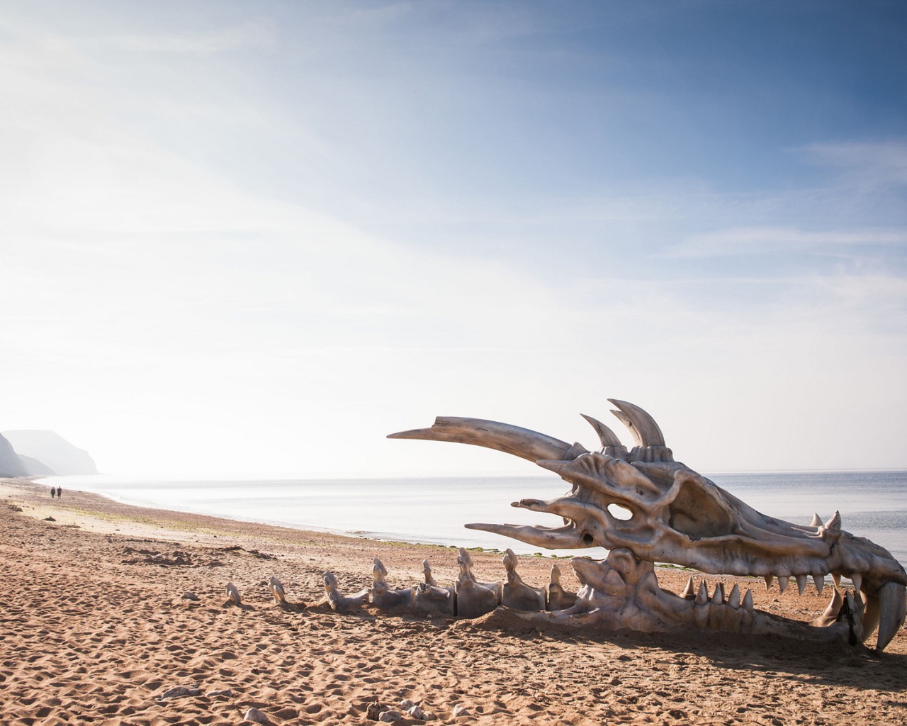 Череп дракона на пляже