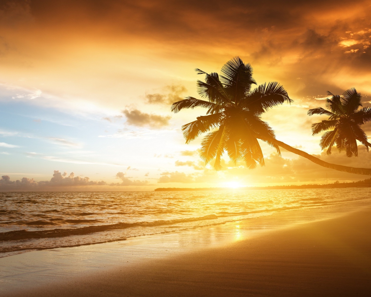 Пальмы на пляже в жаркий вечер