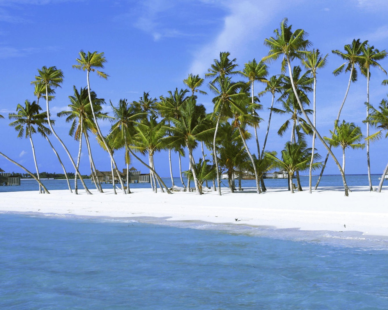 Пальмы на белоснежном песке