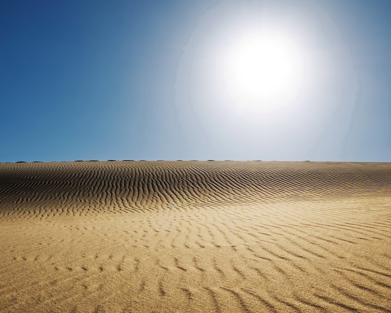Бескрайняя мертвая пустыня