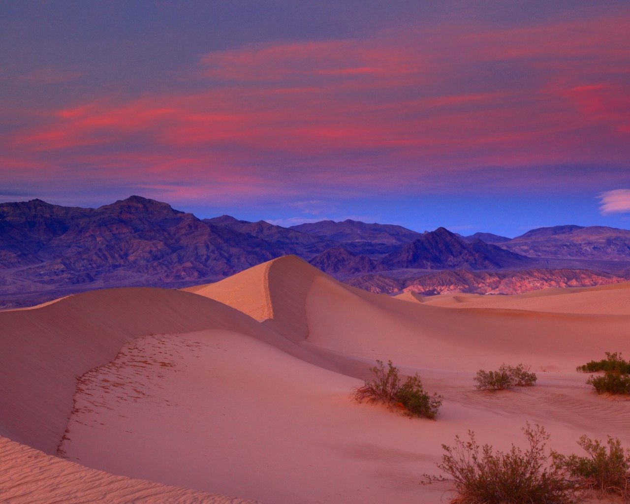 Пустыня розового цвета