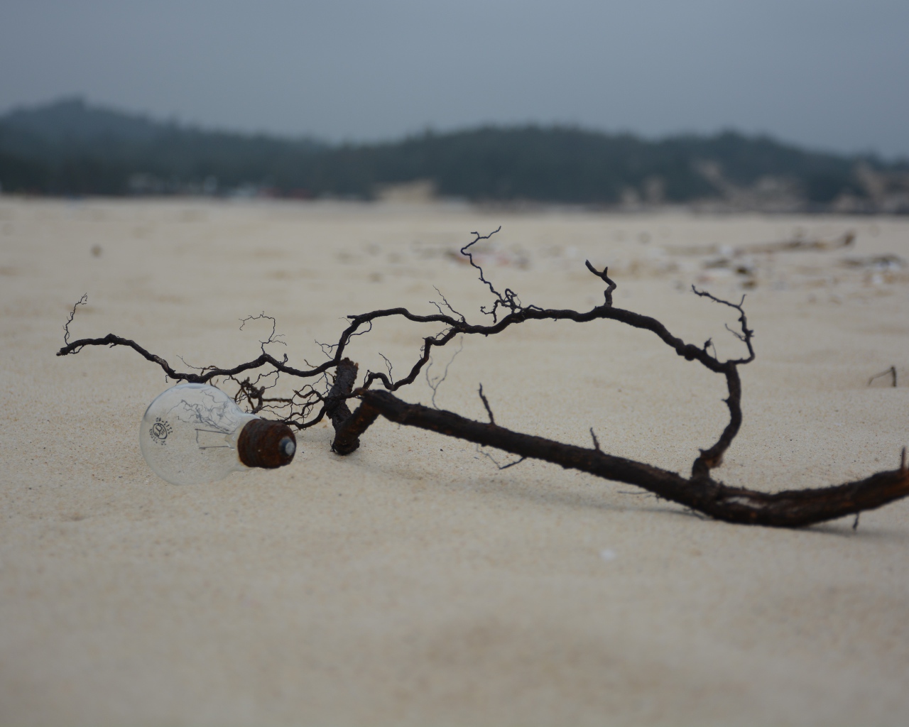 Черная ветка на белом песке