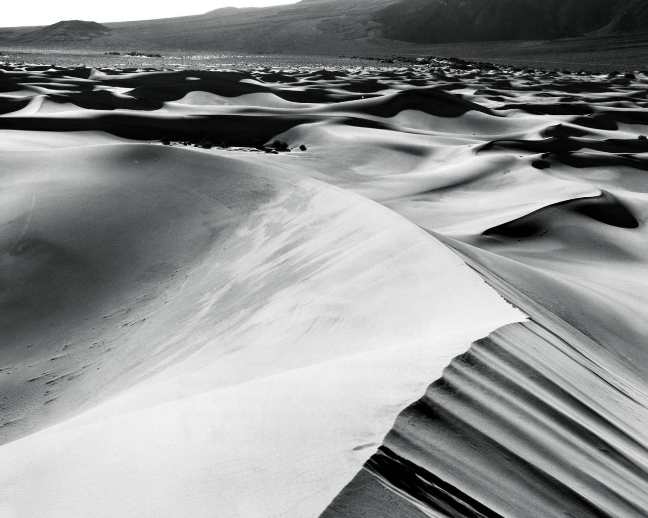 Барханы в пустыне