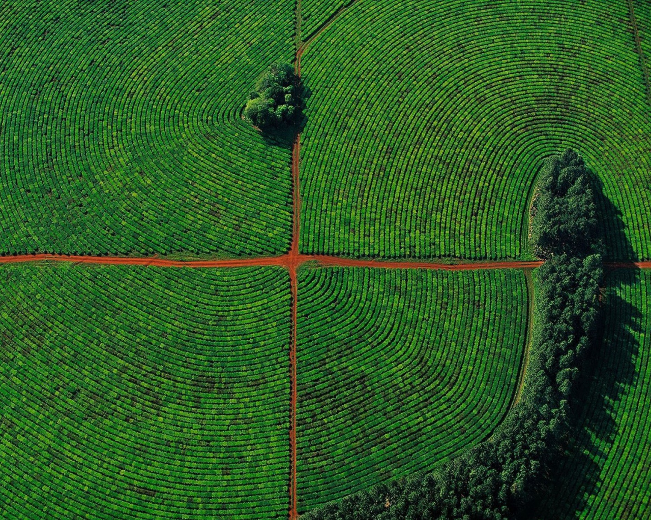 Красивое фото поля с высоты