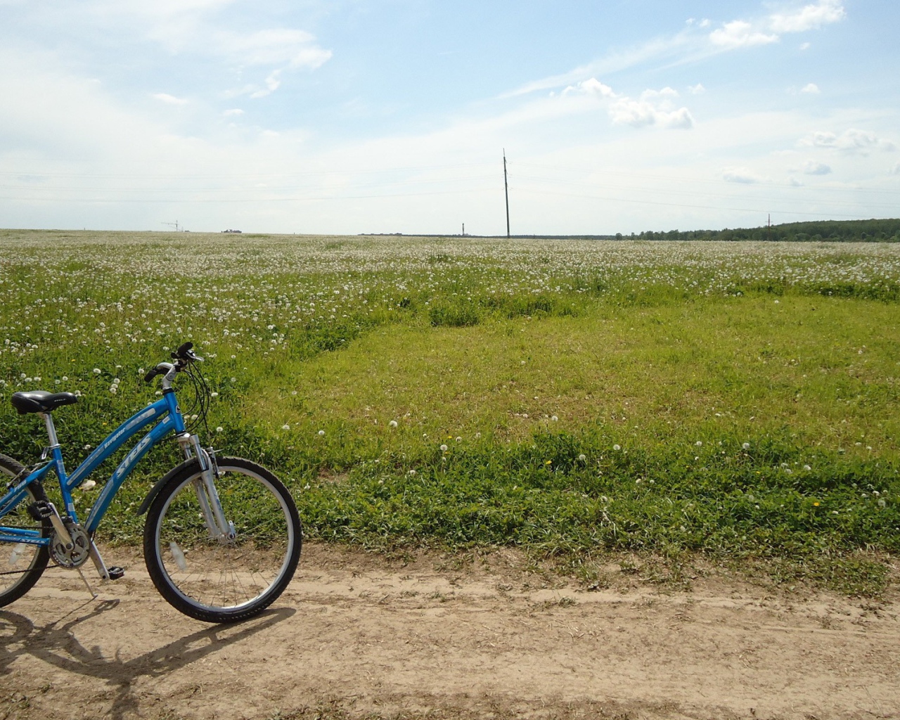 Велосипед на краю цветущего поля