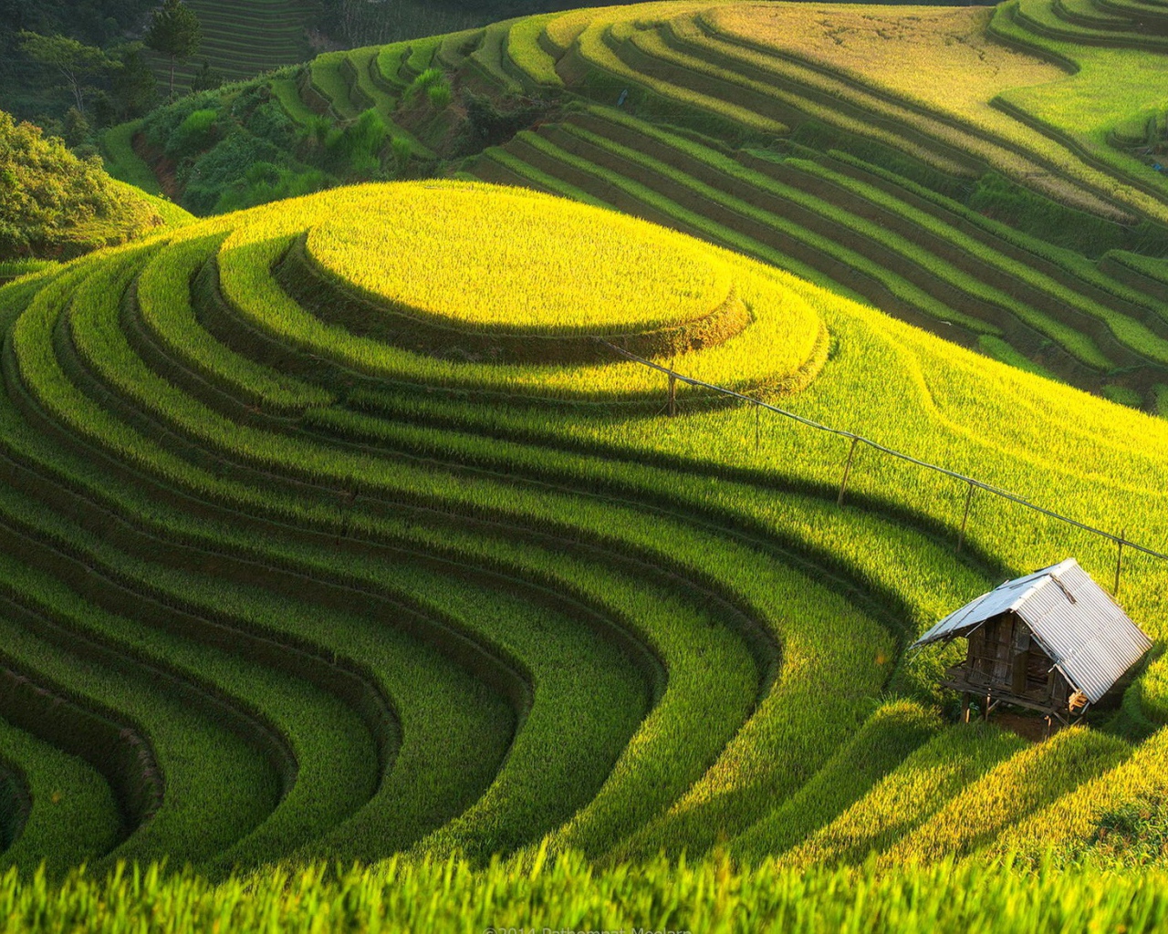 Возделанные поля на холме