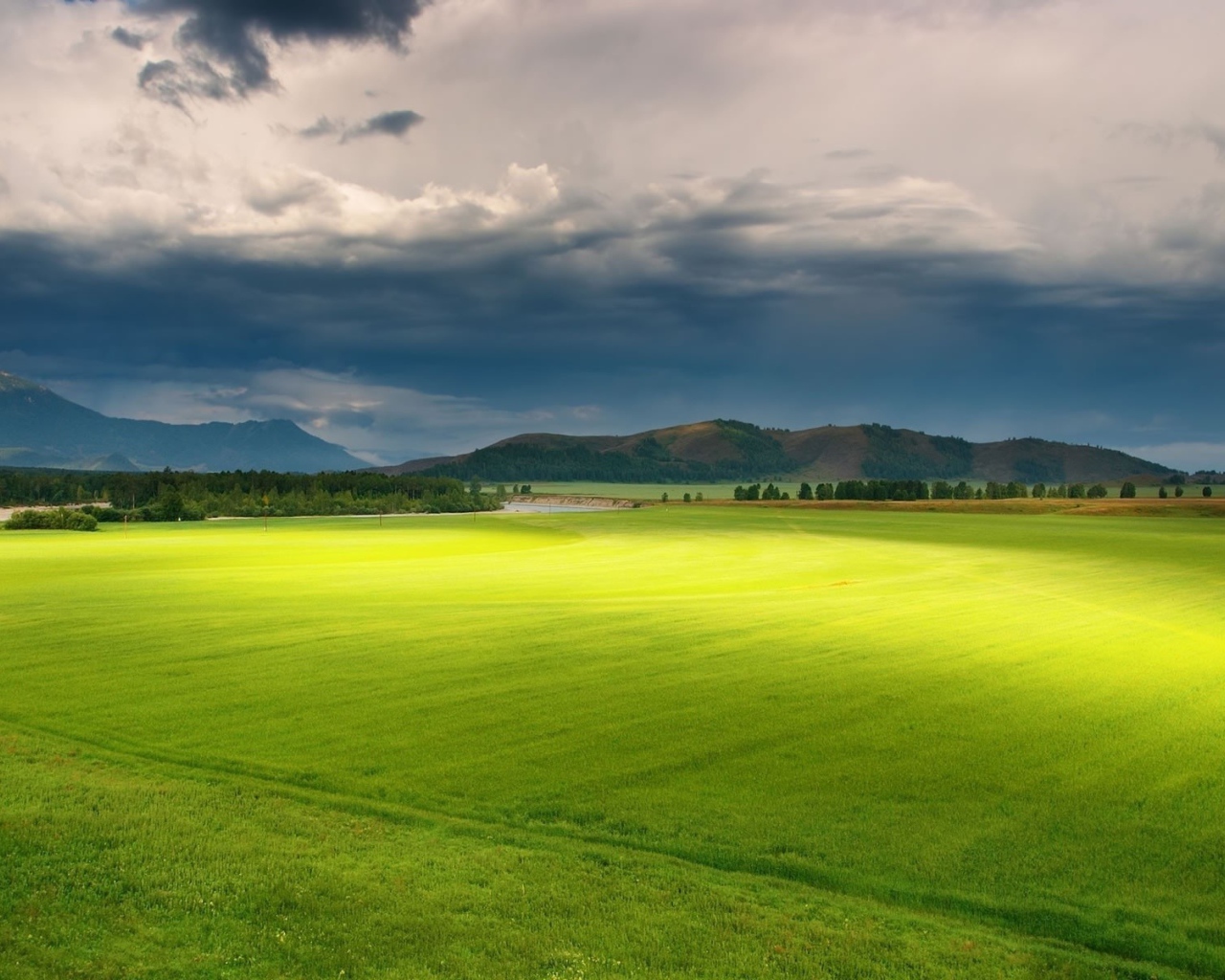 Полет над зеленой равниной