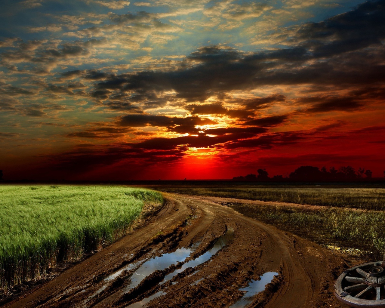 Размытая грунтовая дорога на краю поля