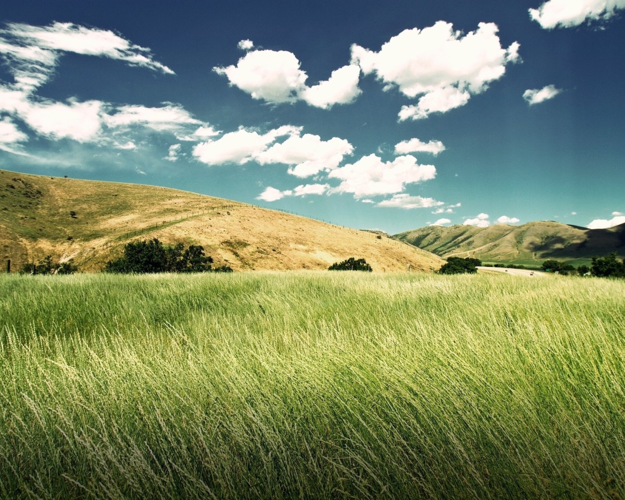 Зеленое поле между холмов