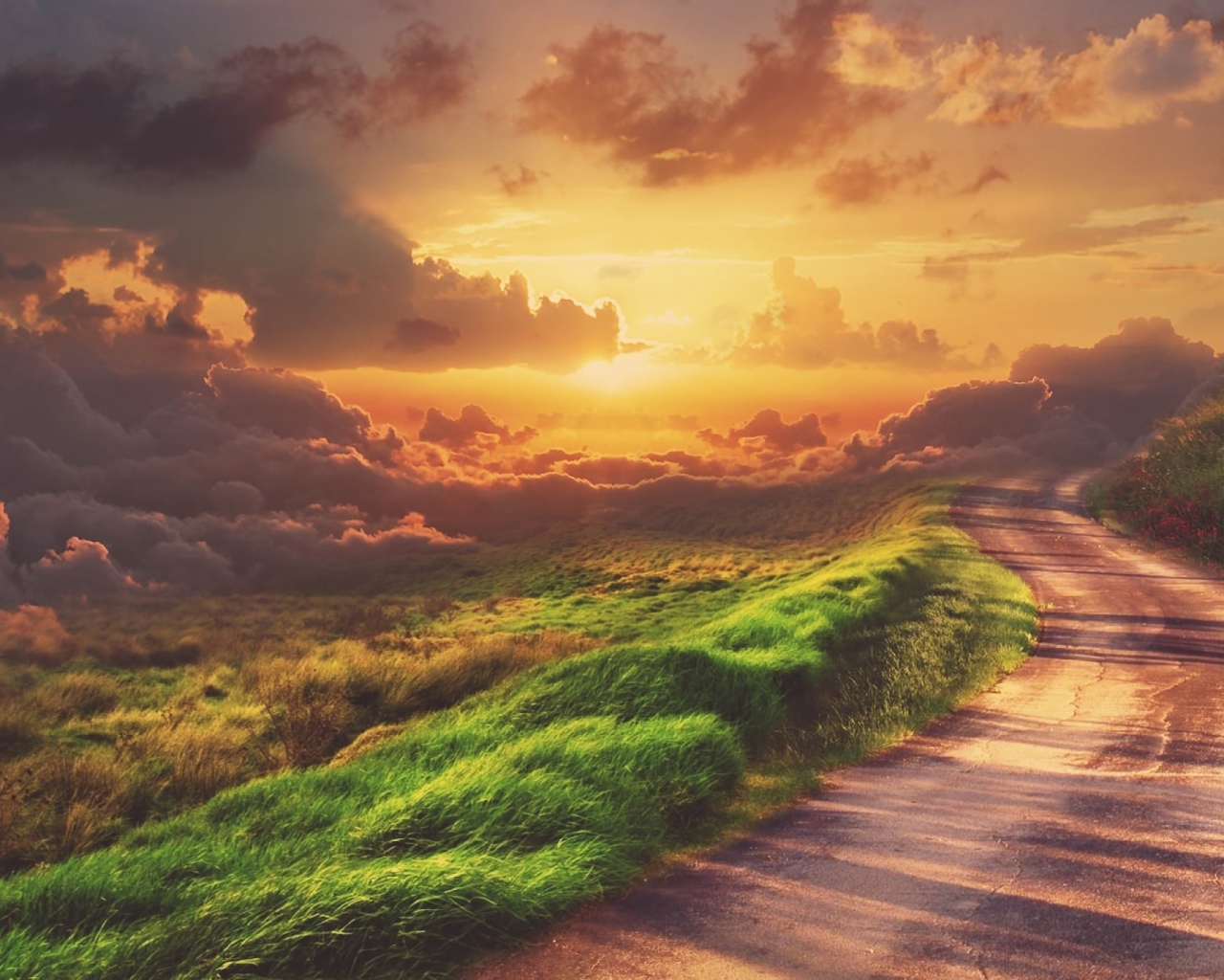 Зеленая трава у обочины дороги на закате