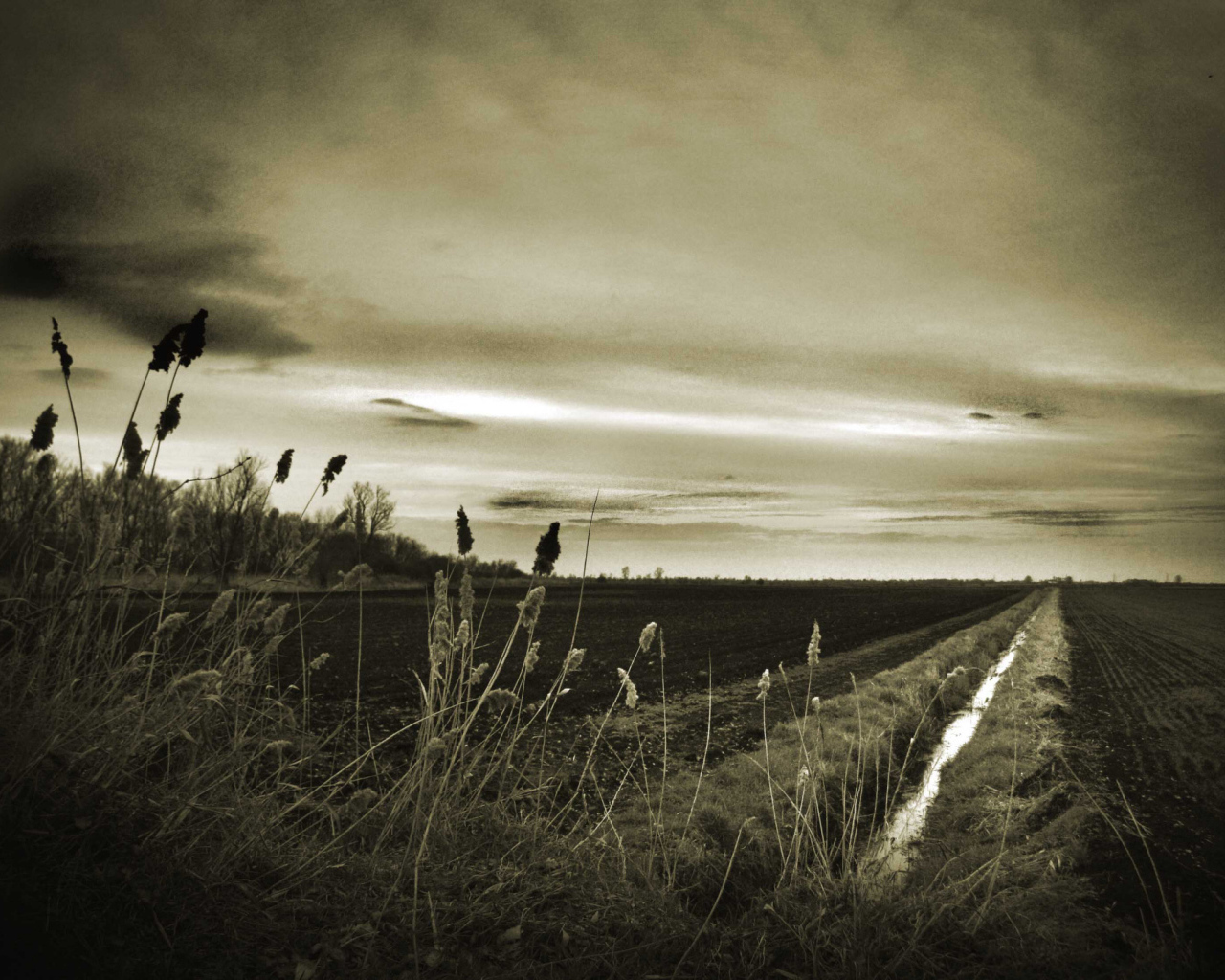 Оросительный канал