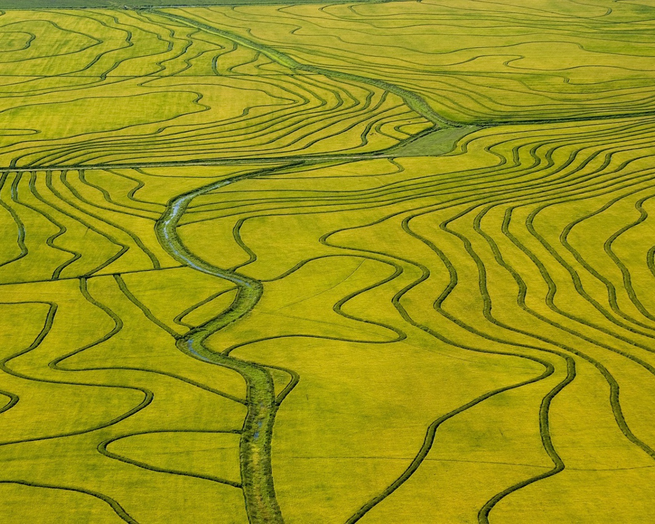 Оросительные каналы на поле необычной формы